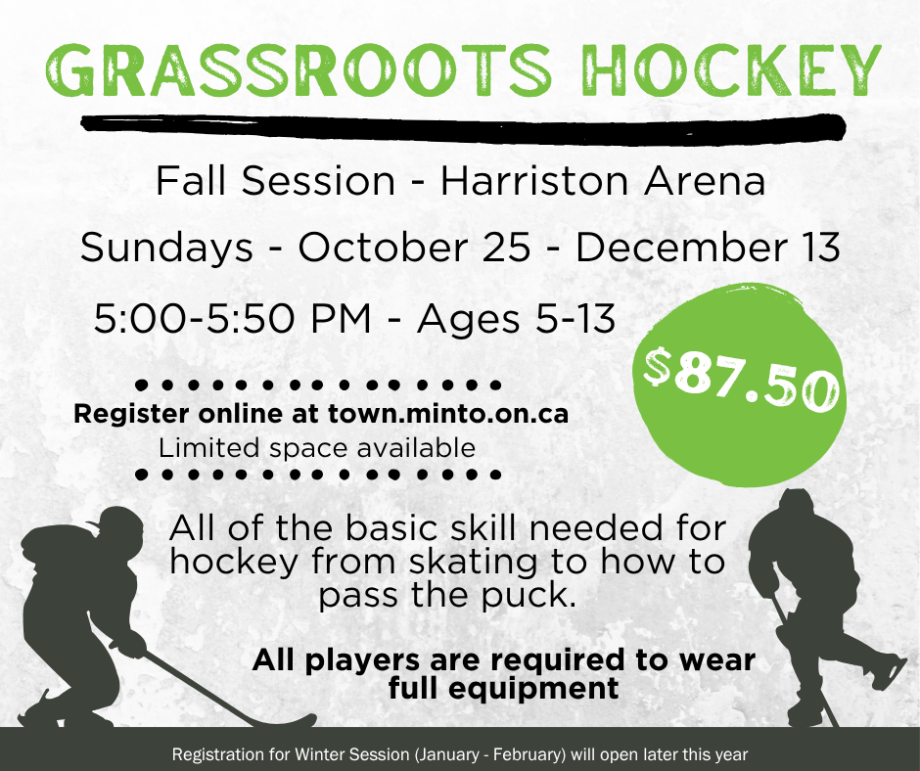 Grassroots Hockey 1